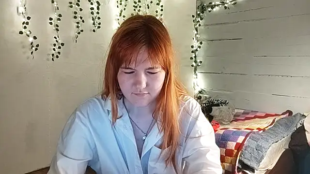 DinaFirebird 网络视讯表演