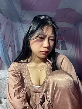 Spying_bird 网络视讯表演