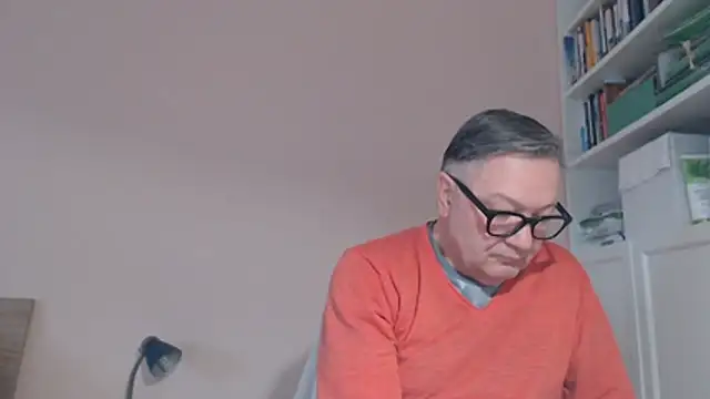 Show webcam de YOU6me