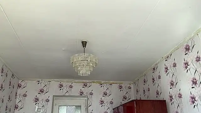 AnnaWasp Webcam-Show