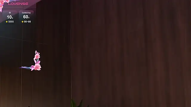 EvaMo0n live XXX chat