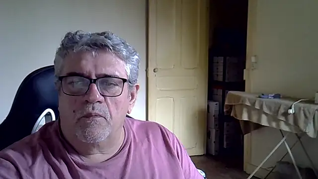 عرض كام _hippo_