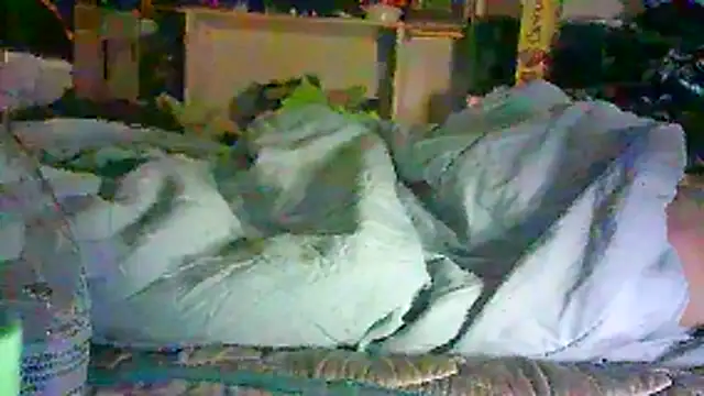 GUAPAN3S3_FIR3 Show Webcam