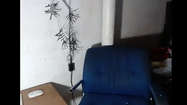 BebaFoxx – Naživo XXX chat