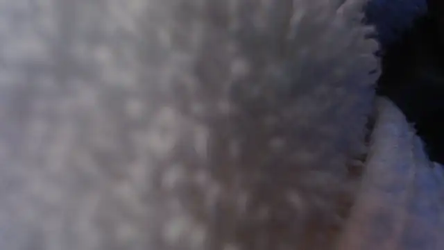 แชท XXX สดของ mspatience