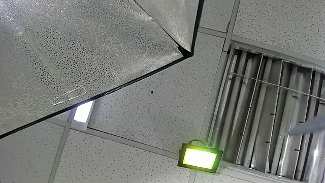 Aisha_hotts777's Live XXX Chat