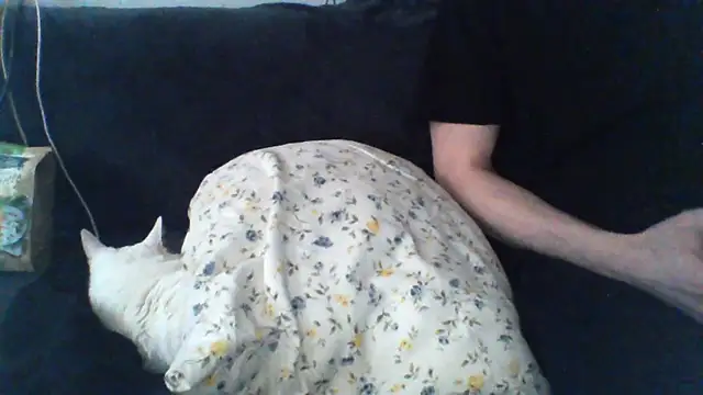 KaelNox – Kamerová šou