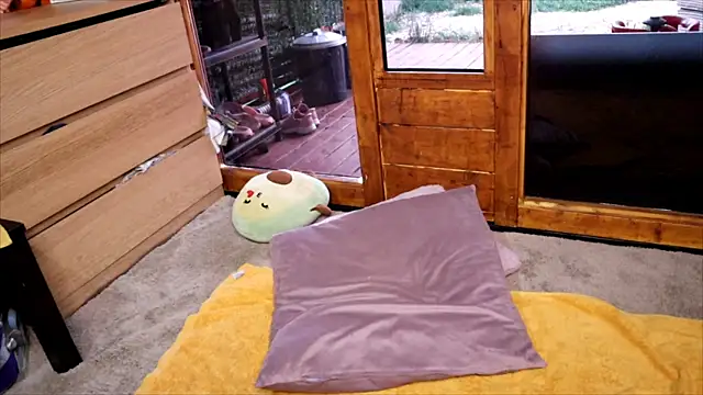 LittleMe97 라이브 XXX 채팅