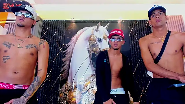 Вебкам-шоу the_knights_of_the_night_