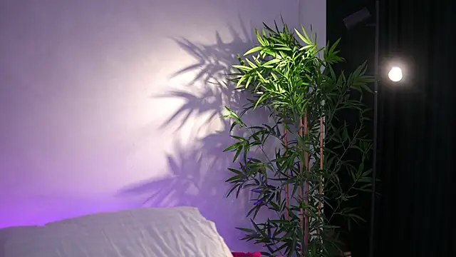 Chatroom XXX en direct de ArtTeasee