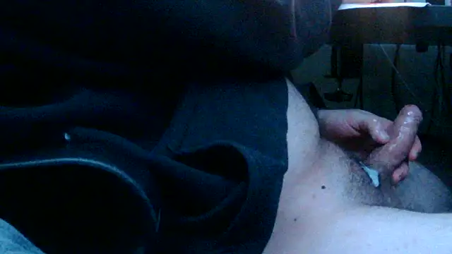 haydn_124n Webbikameraesitys