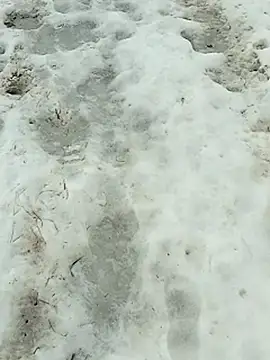 _uncle_Mitya-43_のウェブカメラショー