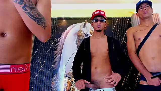 Show de webcam de the_knights_of_the_night_