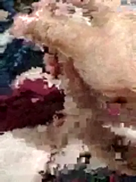 Show de webcam de elsabandija696