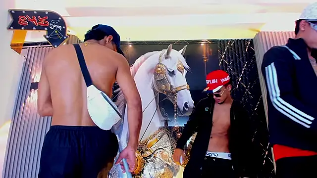 the_knights_of_the_night_のウェブカメラショー