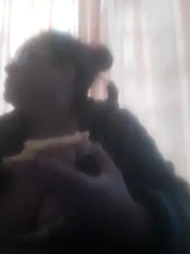 Chat XXX en directo de Sarah_Boobs_