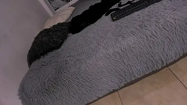 Вебкам-шоу Miss_KhalifaDoll