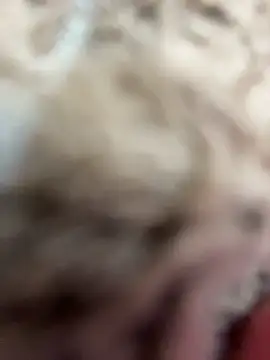 LeiaMood Live XXX-Chat