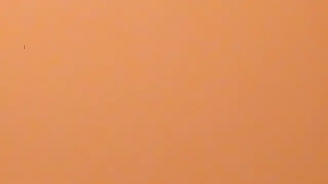 b3cky_'s Live XXX Chat