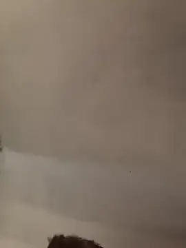 sacptjock83's Webcam Show