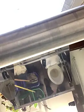 Chat XXX en directo de hailzeffn