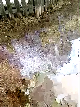 _uncle_Mitya-43_ Live XXX-chat