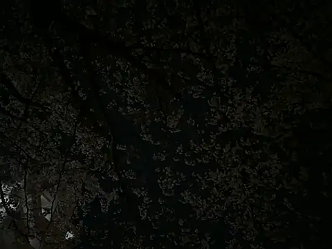 دردشة CHROME-kun925 الجنسية المباشرة