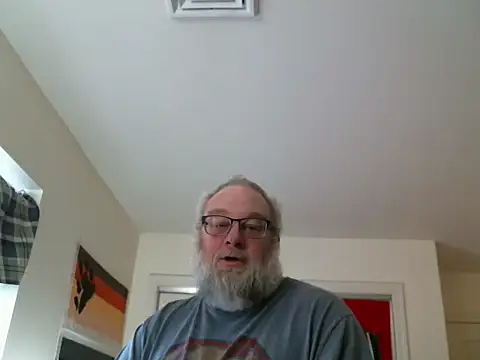 turdferguson420n Webbikameraesitys