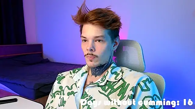 Show webcam de DENIS_HERE