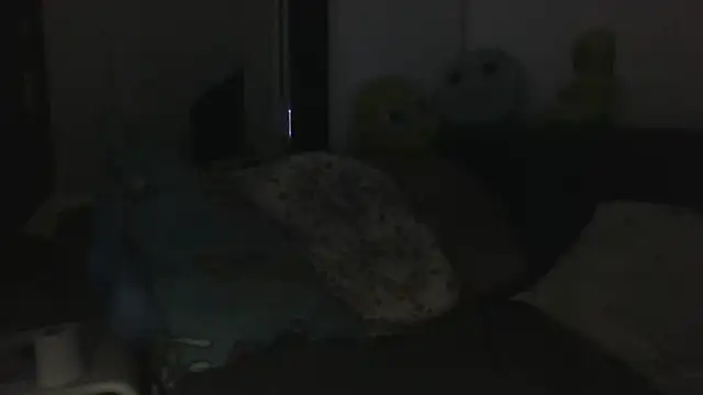 Вебкам-шоу vitalik66679