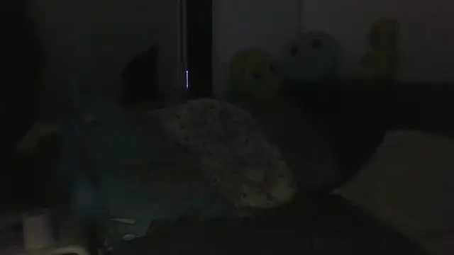 Show modela vitalik66679 na web-kameri