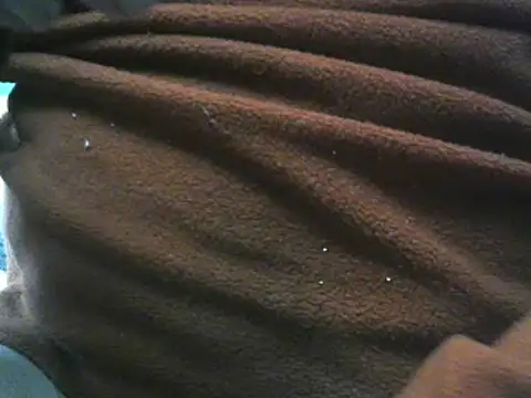 Chat XXX ao vivo de vuran691