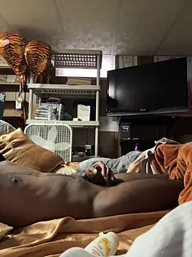 โชว์เว็บแคมของ ProveYourLoyalty2