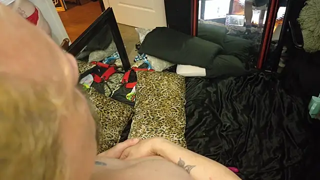 Show modela AQuickPhyx na web-kameri