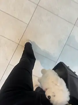 Sexy_lissaa Live XXX-chat