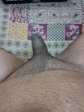 Sissydoggyのウェブカメラショー