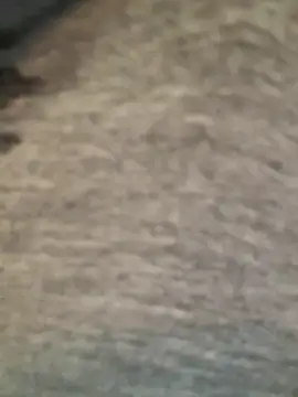 Webkamerová show didihairypussy