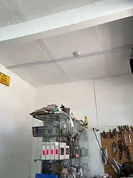 Paul22cm- webkamerás műsora