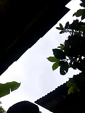 Show de webcam de holygrail001