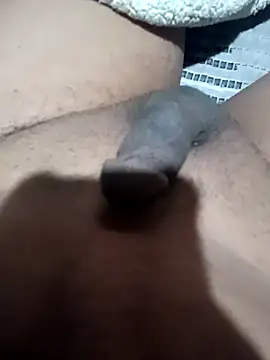 Pertunjukan Kamera Web tomatitosabroso