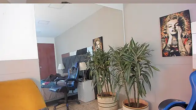 عرض كام kai_storn