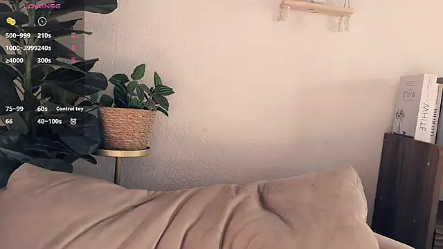 LaureMestlern Webbikameraesitys