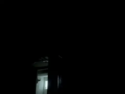 Show webcam de YODAPESOS