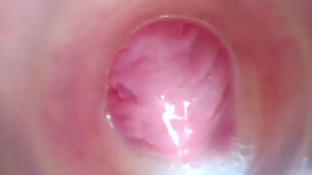 Show Webcam de shannon_kinne_