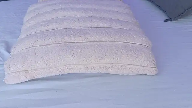 Annavic__ 现场XXX聊天