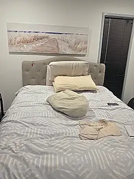 Pertunjukan Kamera Web Handsolo_porn