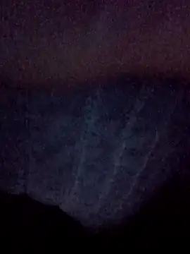 Show webcam de salchichon_69