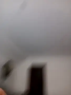 Show Webcam de garibaldix66