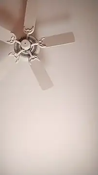 MaxSpadeErotica's Webcam Show