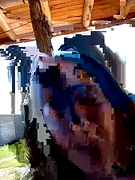 Chat +18 de StefyStar_Sexy ao vivo